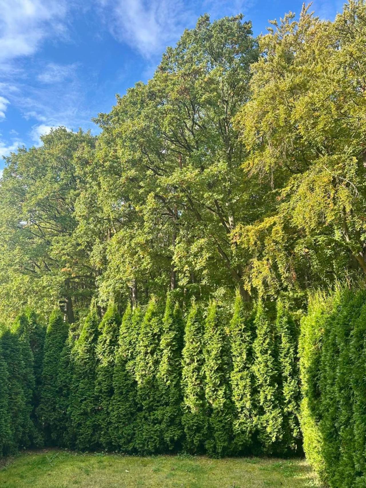 Studio Wiselka Lesna Εξωτερικό φωτογραφία